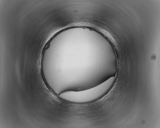 X0000099581228200806061619