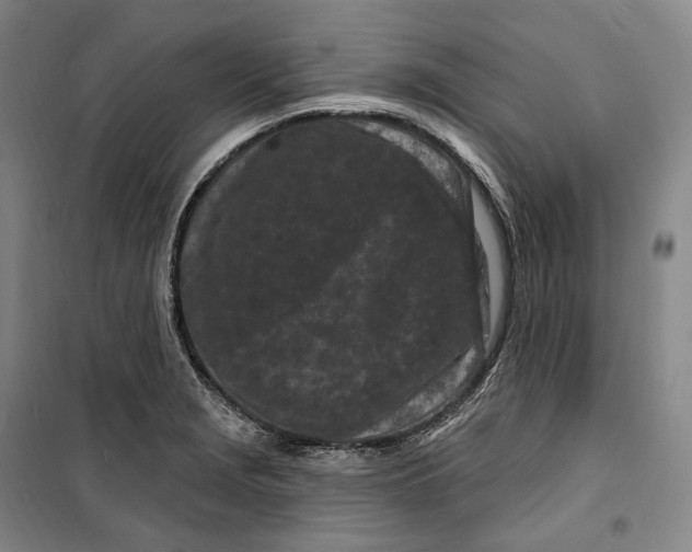 X0000099581229200806061619