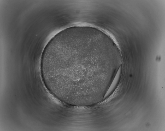 X0000099581231200806061619