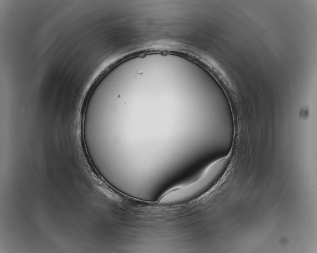 X0000099581232200806061619