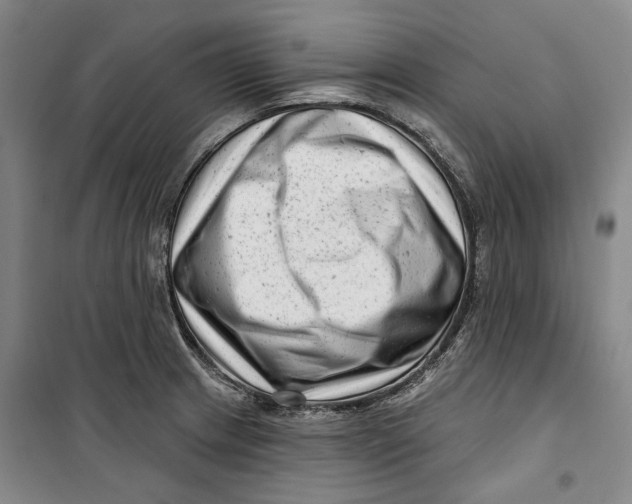 X0000099581233200806061619