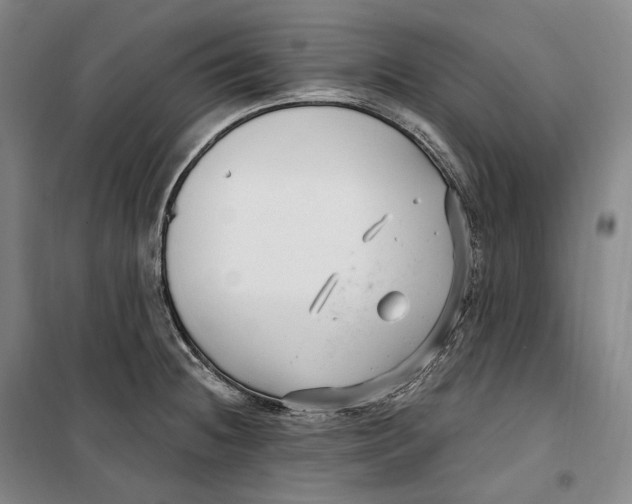 X0000099581236200806061619