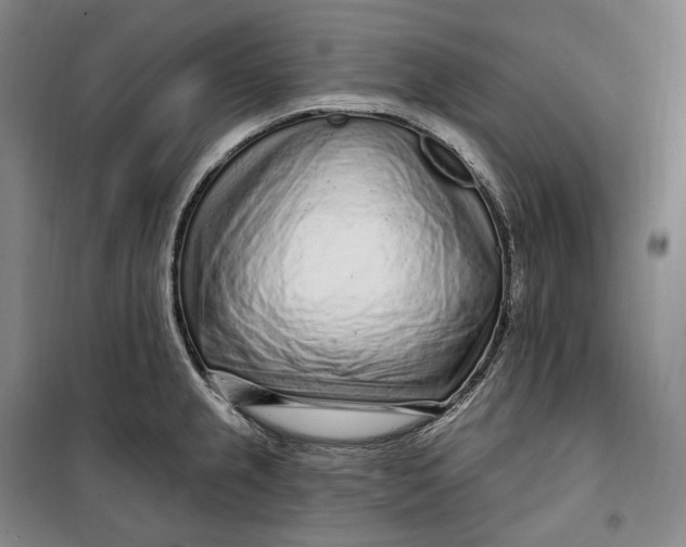 X0000099581237200806061619