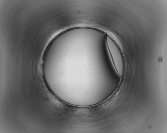 X0000099581238200806061619