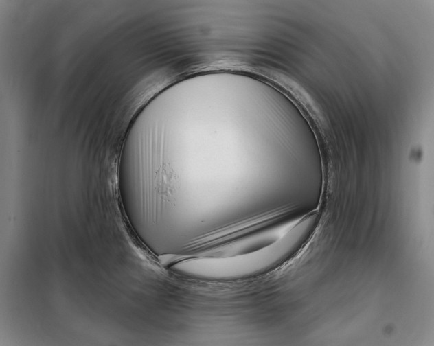 X0000099581241200806061619