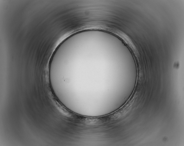 X0000099581242200806061619