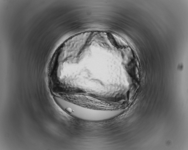 X0000099581243200806061619