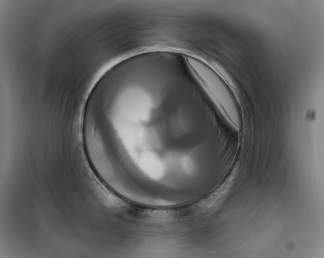 X0000099581246200806061619