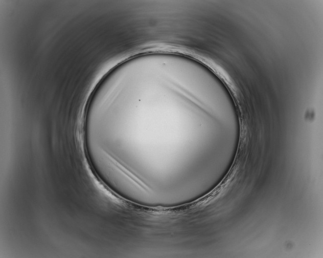 X0000099581247200806061619