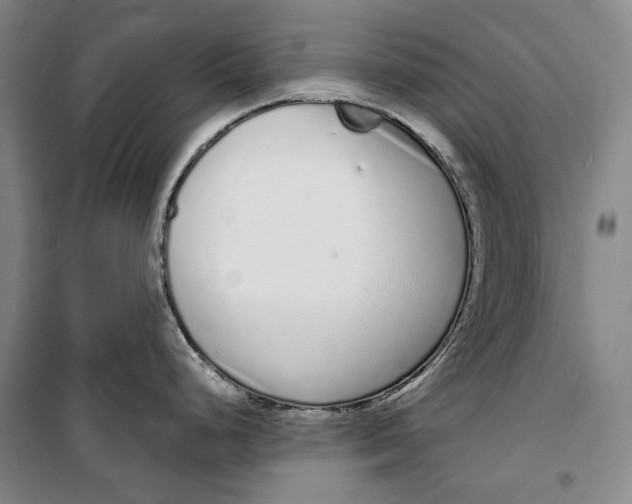 X0000099581248200806061619