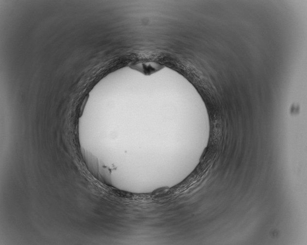 X0000099581249200806061619