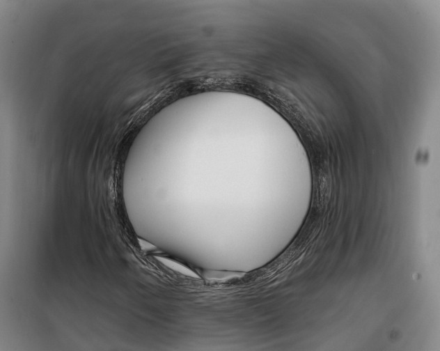 X0000099581250200806061619