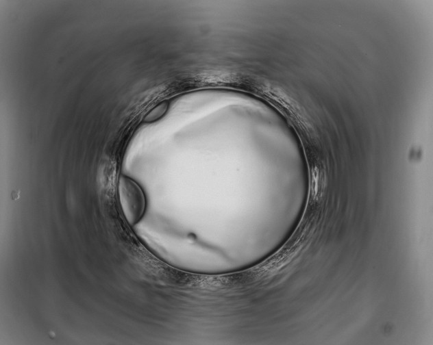 X0000099581251200806061619