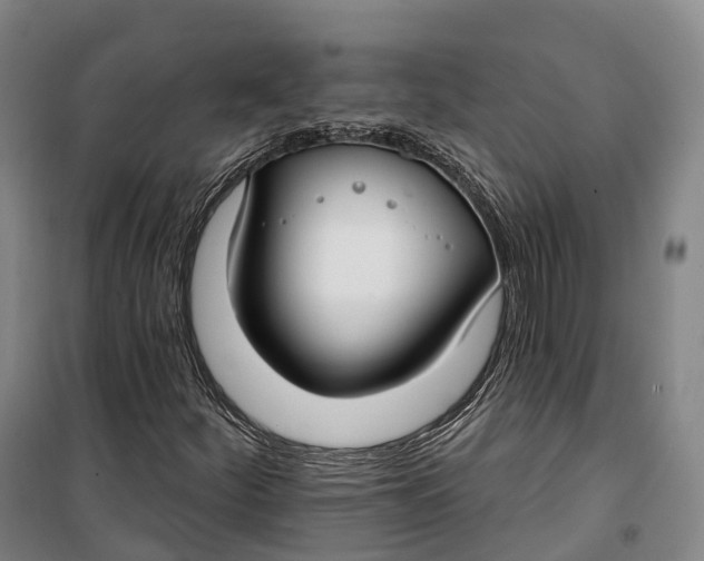 X0000099581252200806061619