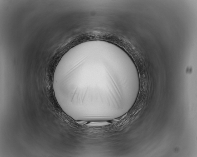 X0000099581253200806061619