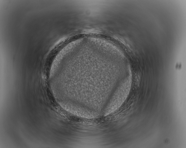 X0000099581254200806061619