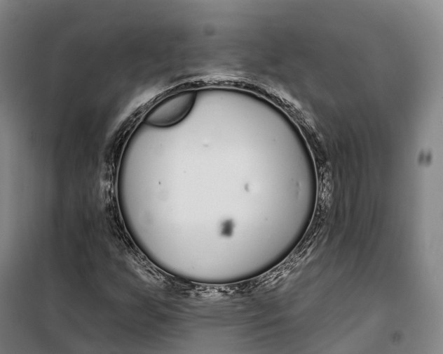 X0000099581255200806061619