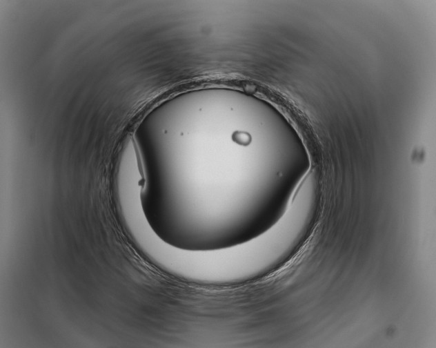 X0000099581257200806061619