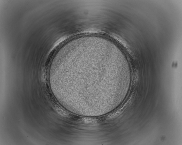 X0000099581258200806061619