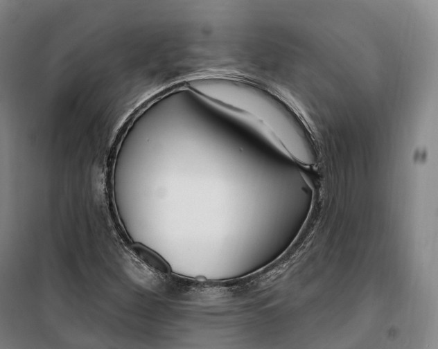 X0000099581260200806061619