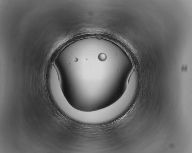 X0000099581261200806061618