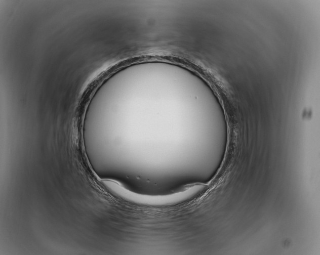 X0000099581262200806061618