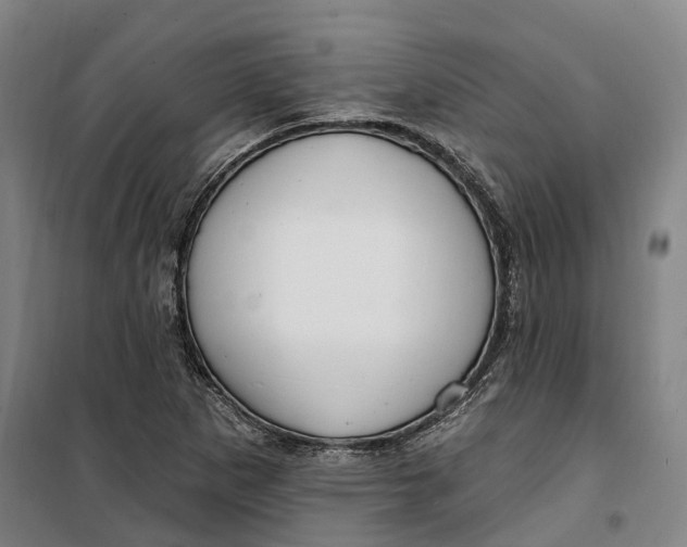 X0000099581265200806061618