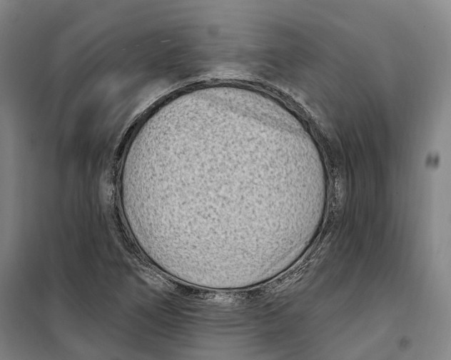 X0000099581266200806061618