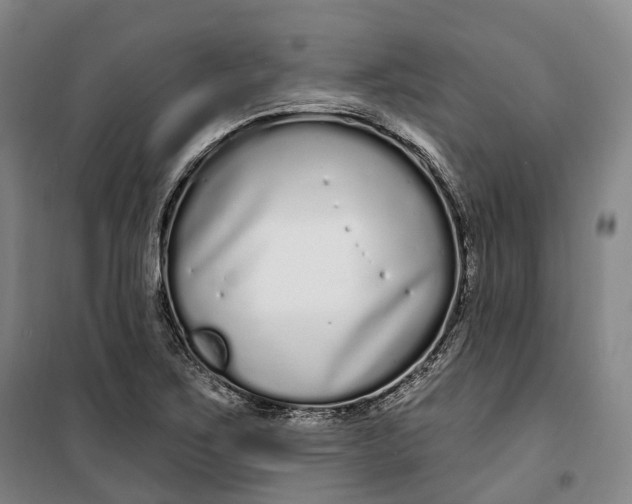 X0000099581267200806061618