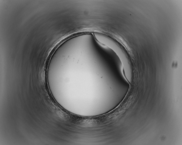 X0000099581268200806061618