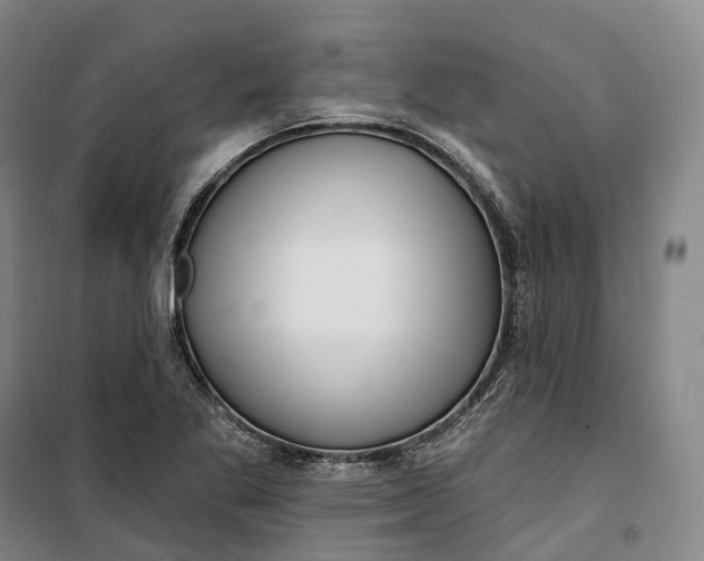 X0000099581269200806061618