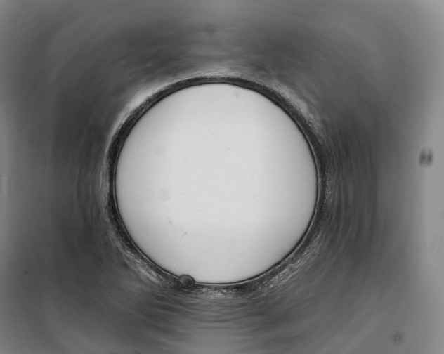 X0000099581270200806061618