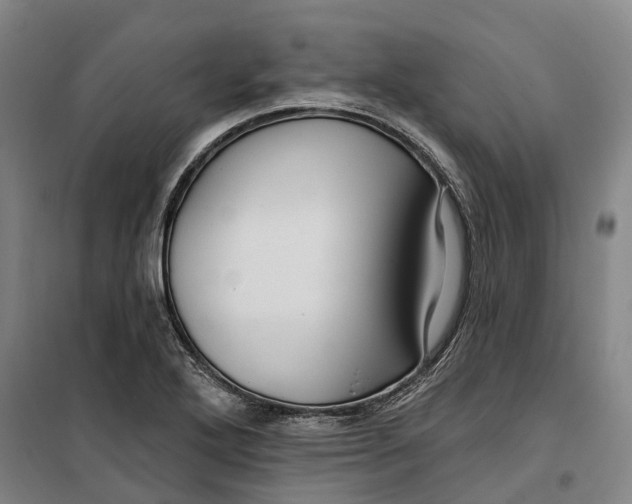 X0000099581272200806061618