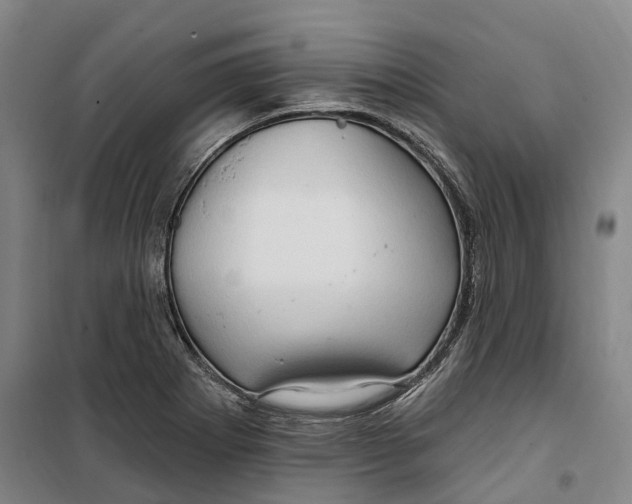 X0000099581273200806061618