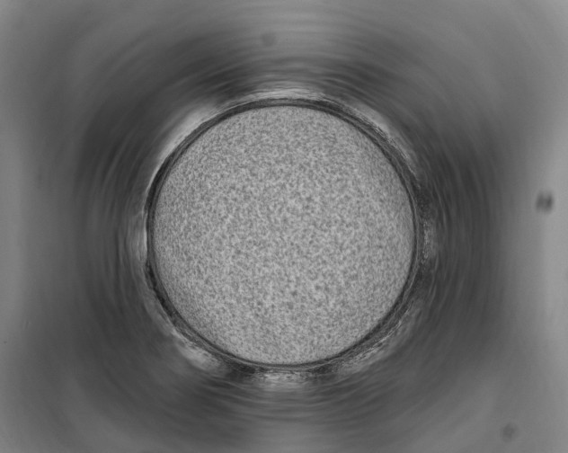 X0000099581274200806061618