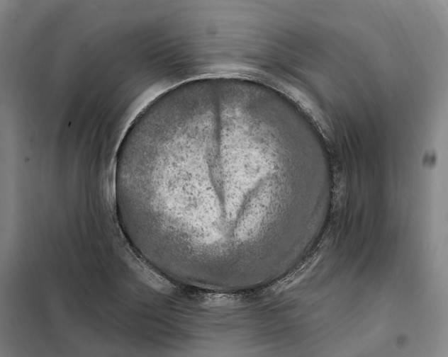 X0000099581275200806061618