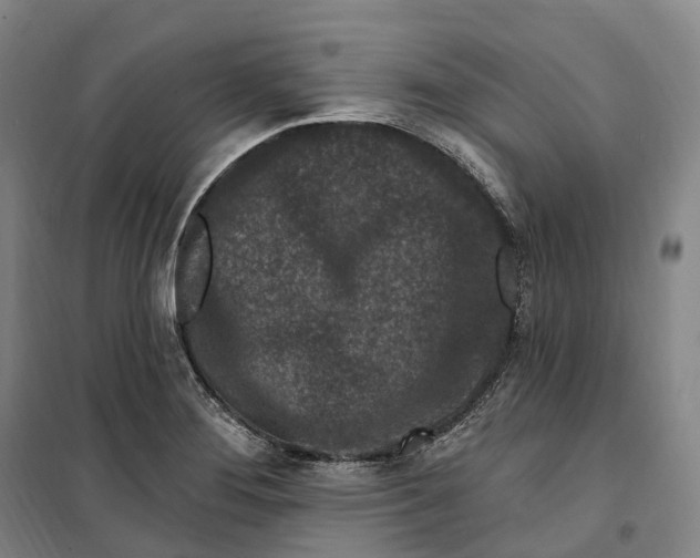 X0000099581276200806061618