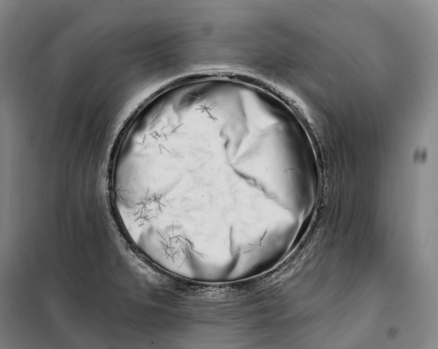 X0000099581279200806061618