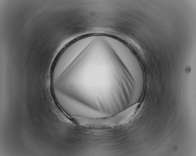 X0000099581280200806061618