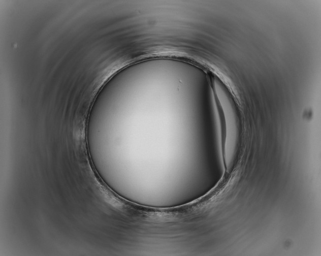 X0000099581281200806061618