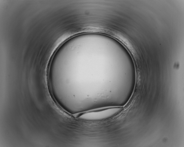 X0000099581283200806061618