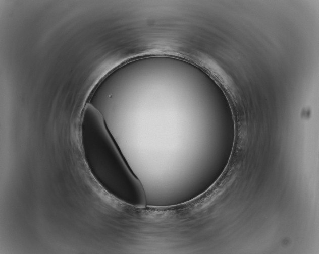 X0000099581284200806061618