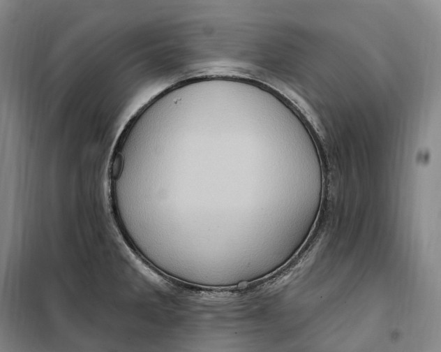 X0000099581285200806061618