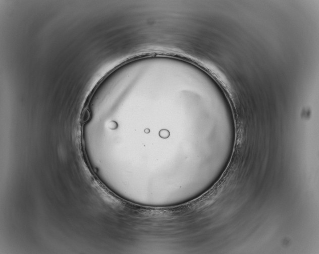 X0000099581287200806061618