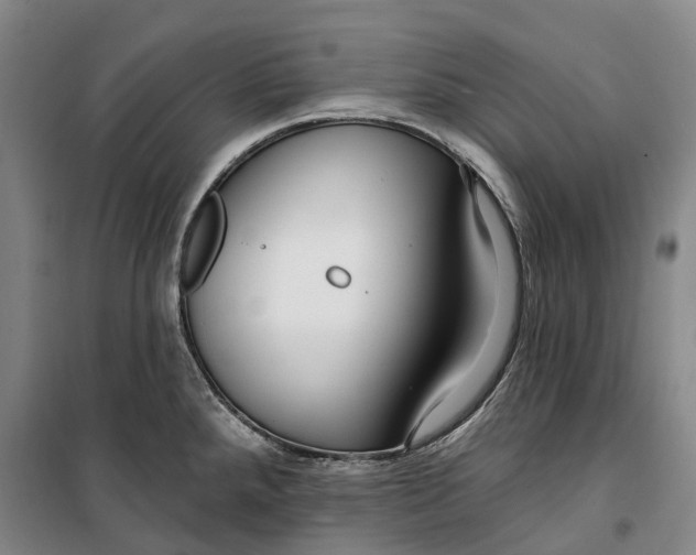 X0000099581288200806061618