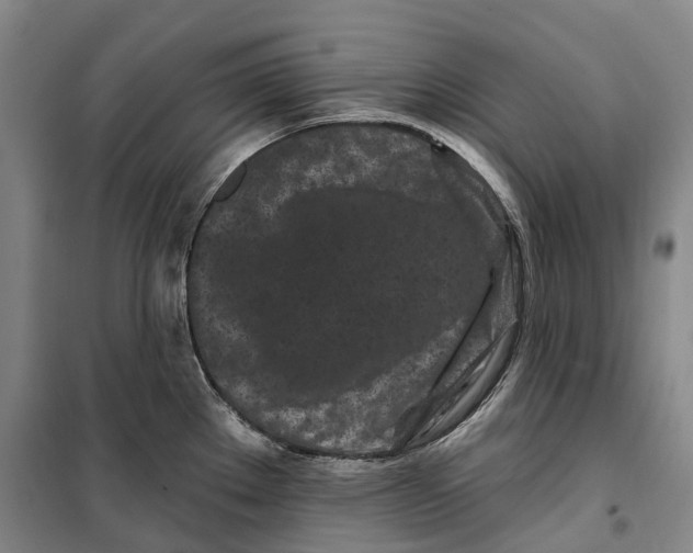 X0000099581289200806061618