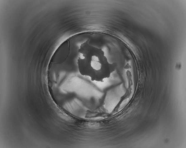 X0000099581291200806061618