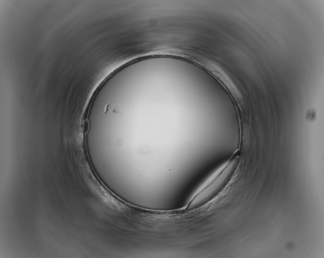 X0000099581292200806061618