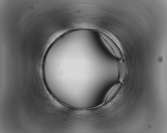 X0000099581293200806061618