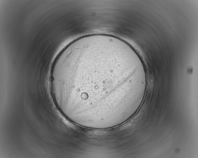 X0000099581294200806061618